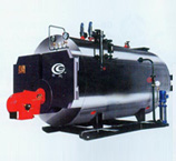 WNS��ʽȼ�ͣ�����������¯